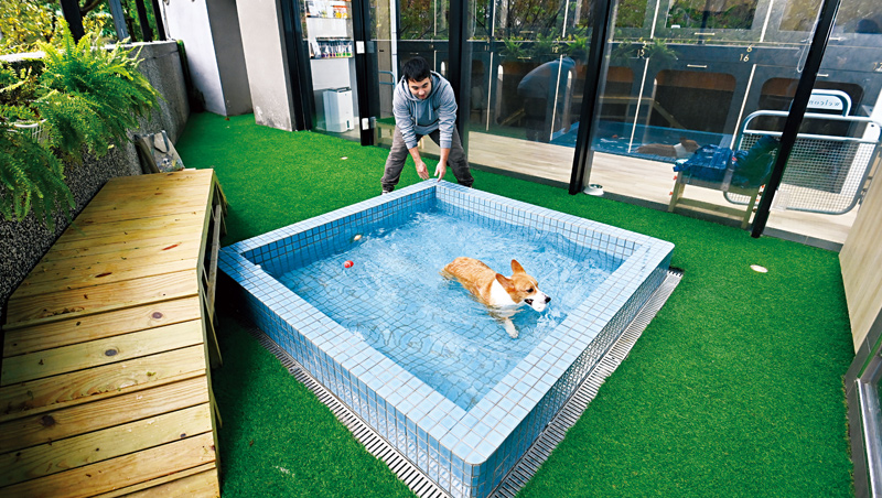 礁溪寒沐酒店提供適合毛小孩泡的溫泉池，水溫設定在攝氏35度，以符合狗狗的體溫。